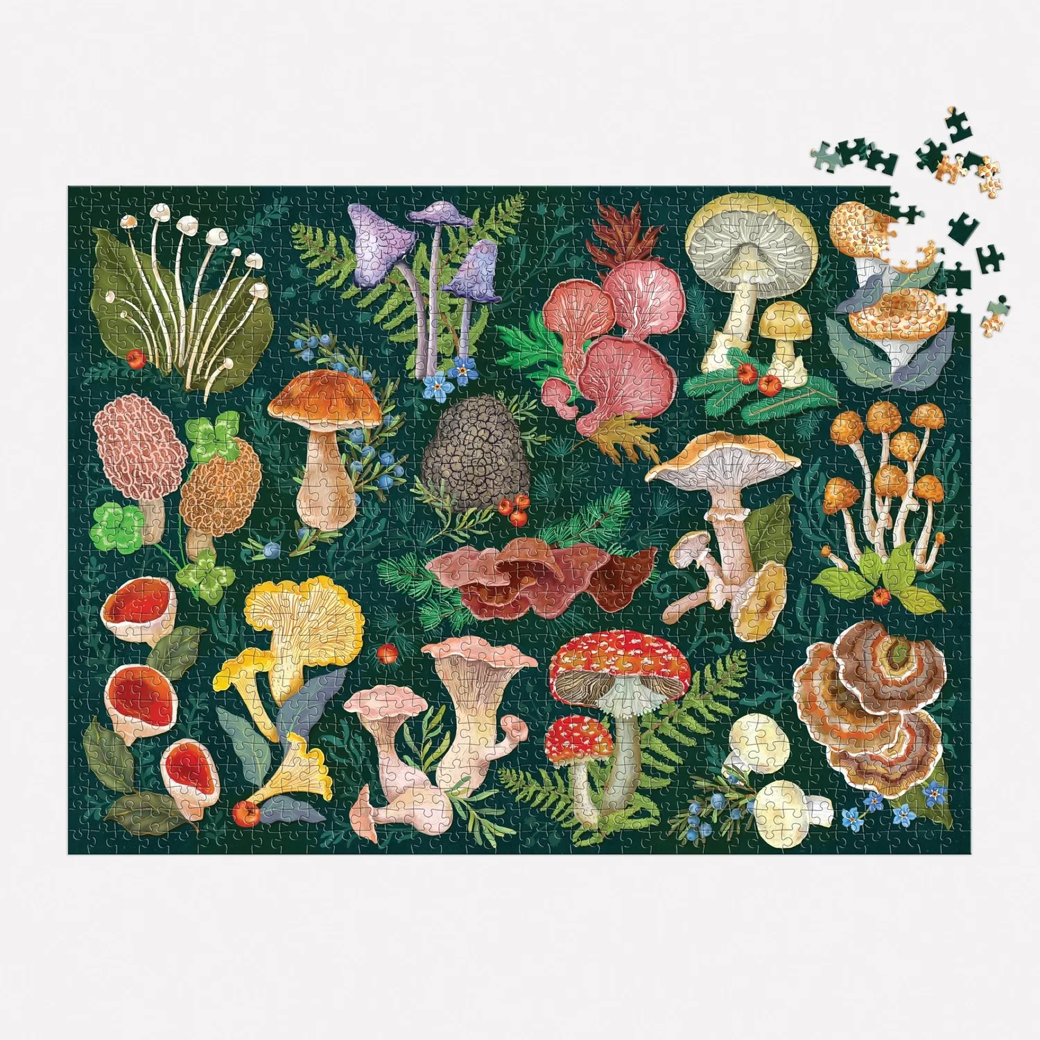 Good Puzzle Co. Mushrooms World of Mushrooms puslespil 1000 svampe