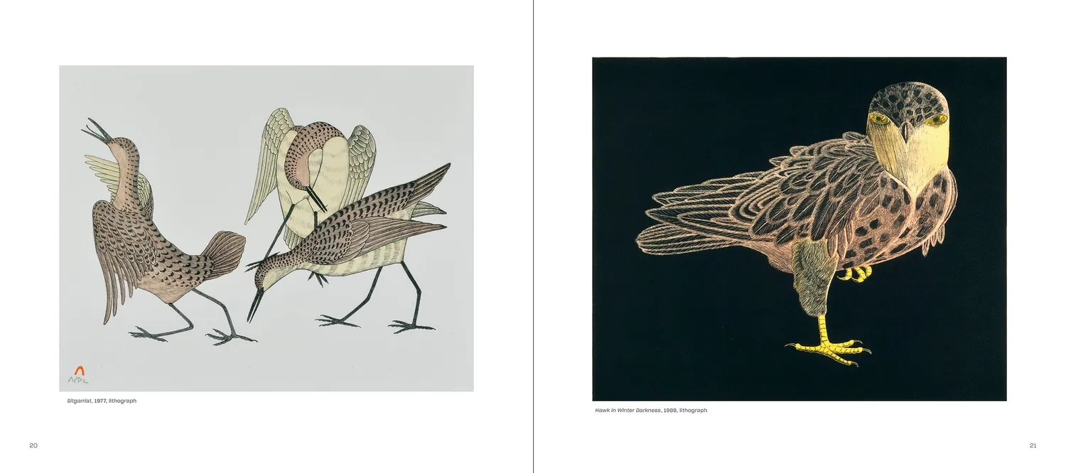 Pomegranate Pootoogook Kinngait kunstbog inuit tegninger