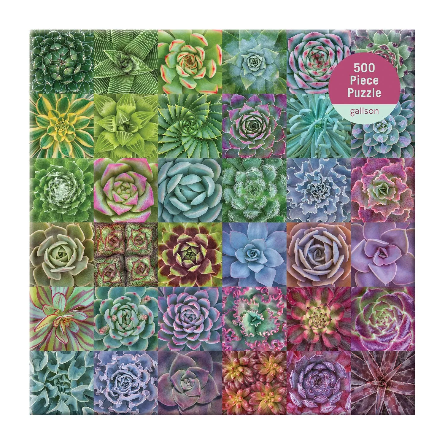 Galison Litten Succulent Spectrum 500 puslespil 500 brikker farver
