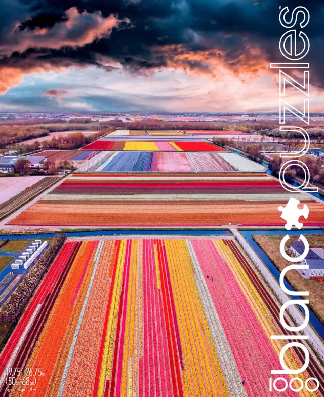 Buffalo Games Blanc Infinity Fields of the Netherlands 1000 puslespil Holland