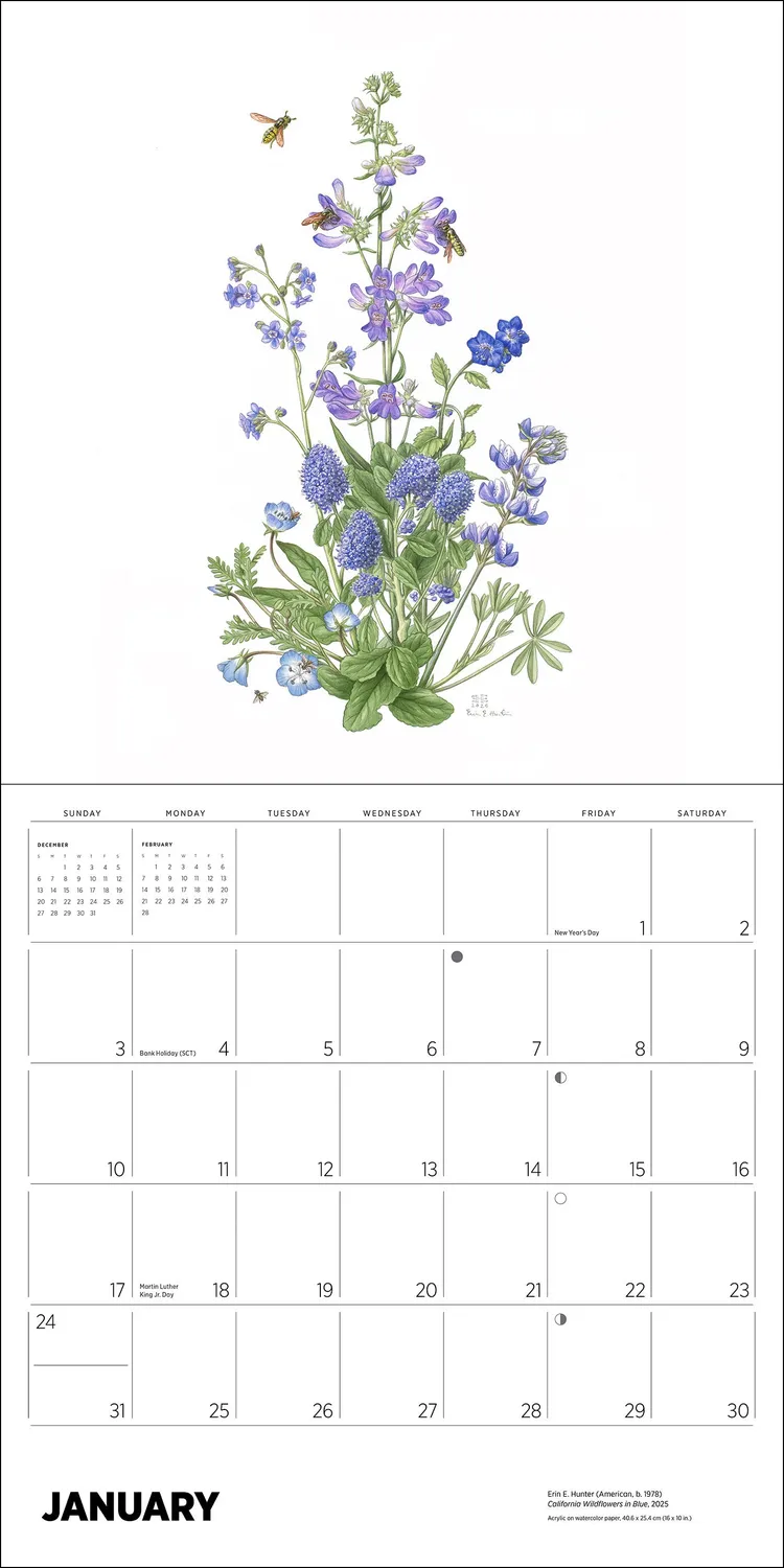 Erin E Hunter Pollinators vægkalender 2027 insekter