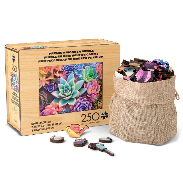 Buffalo Games Simple Succulent træpuslespil 250 brikker whimsy