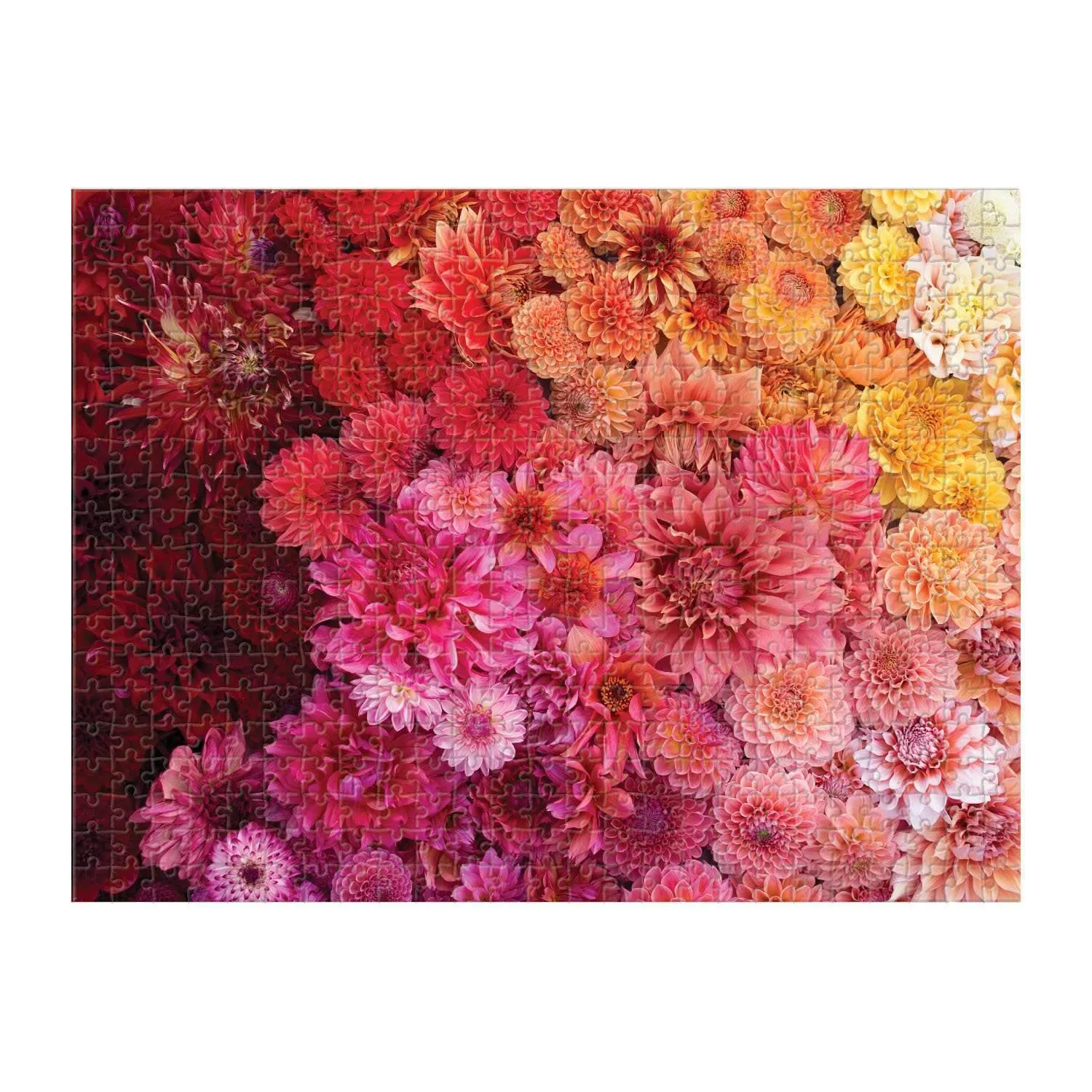 Good Puzzle Co. Cut Flower Garden puslespil 500 dobbeltsidet