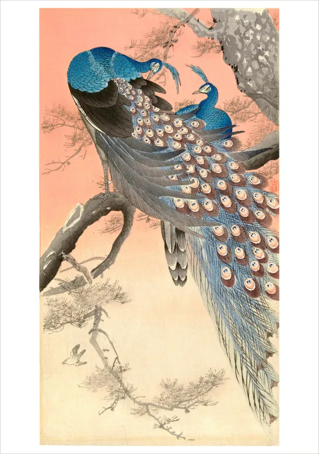 Pomegranate Ohara Koson Two Peacocks enkeltkort fugle