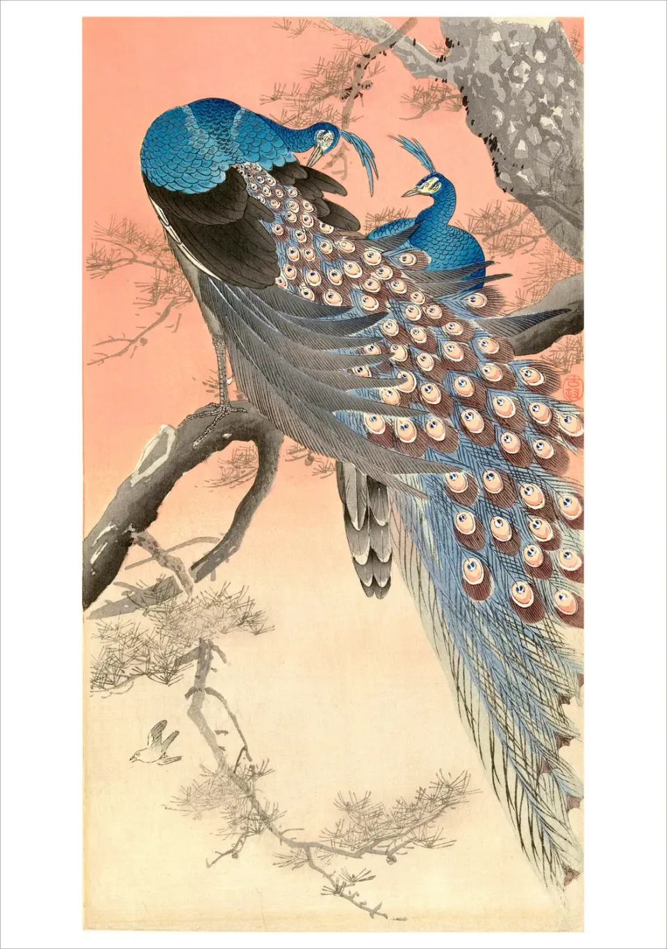 Pomegranate Ohara Koson Two Peacocks enkeltkort fugle