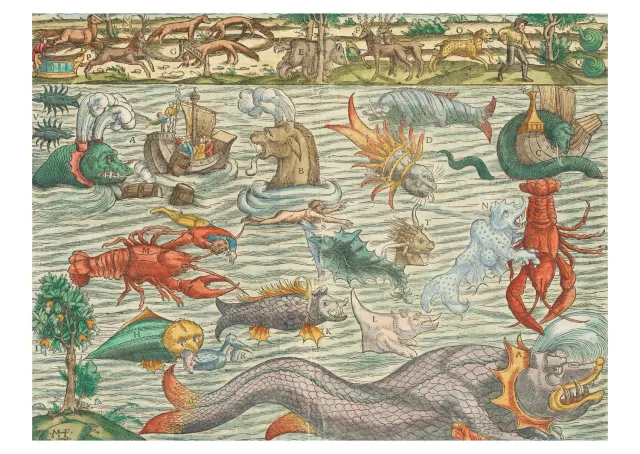 Pomegranate Sebastian Münster Sea Monsters postkort