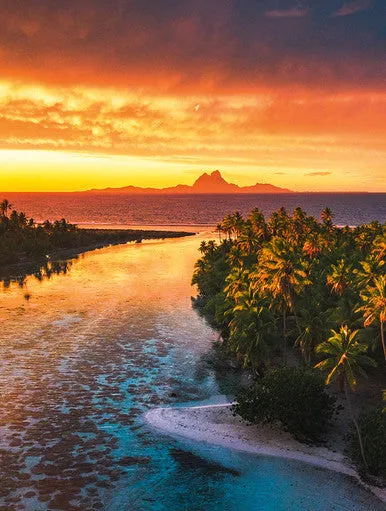Buffalo Noir Bora Bora puslespil 500 brikker Wanderlust