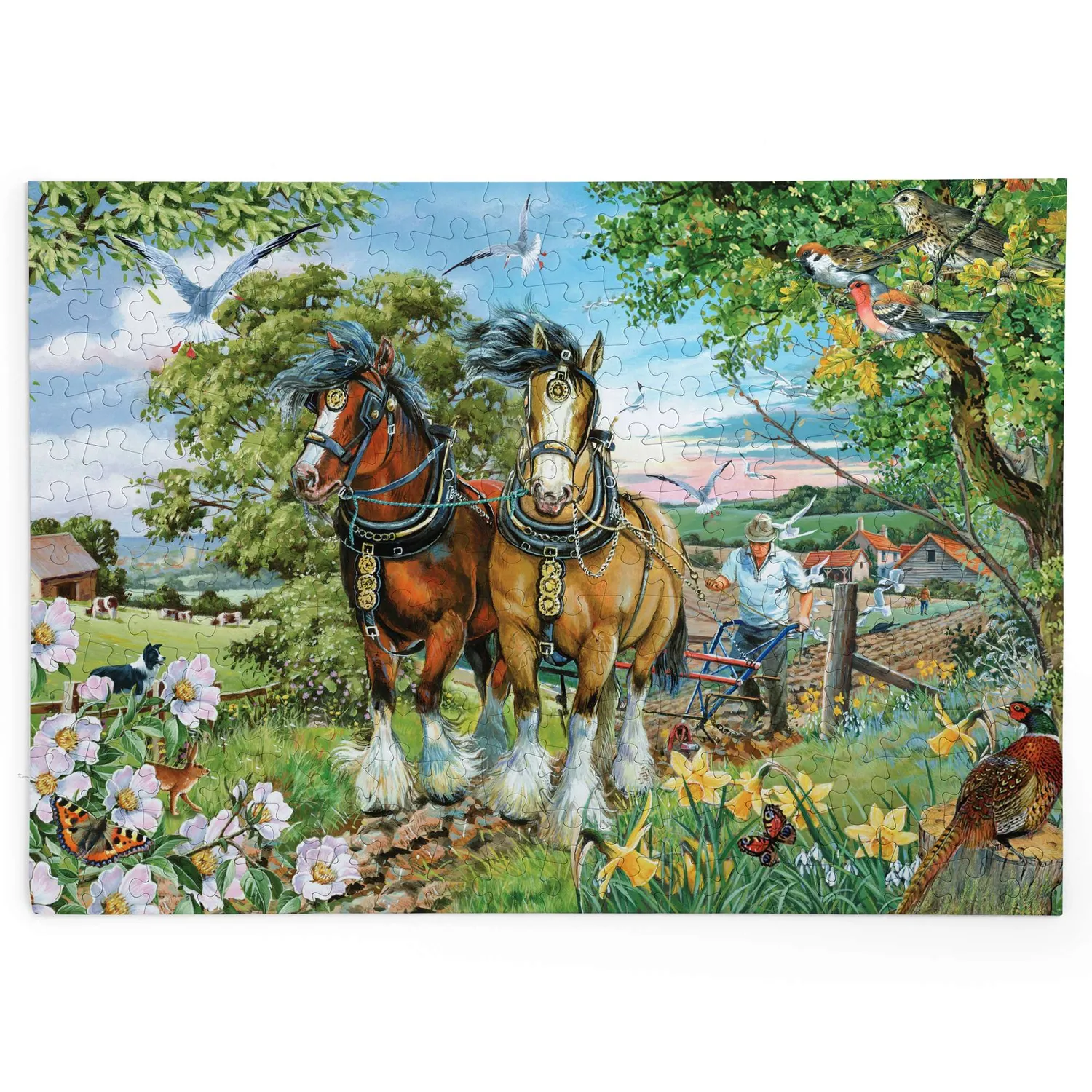 House of Puzzles BIG Strength & Beauty puslespil 250 store brikker