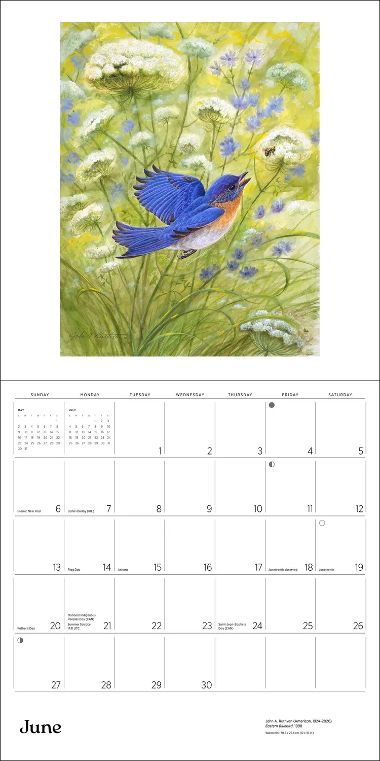 Pomegranate A Birder's View 2027 vægkalender fugle