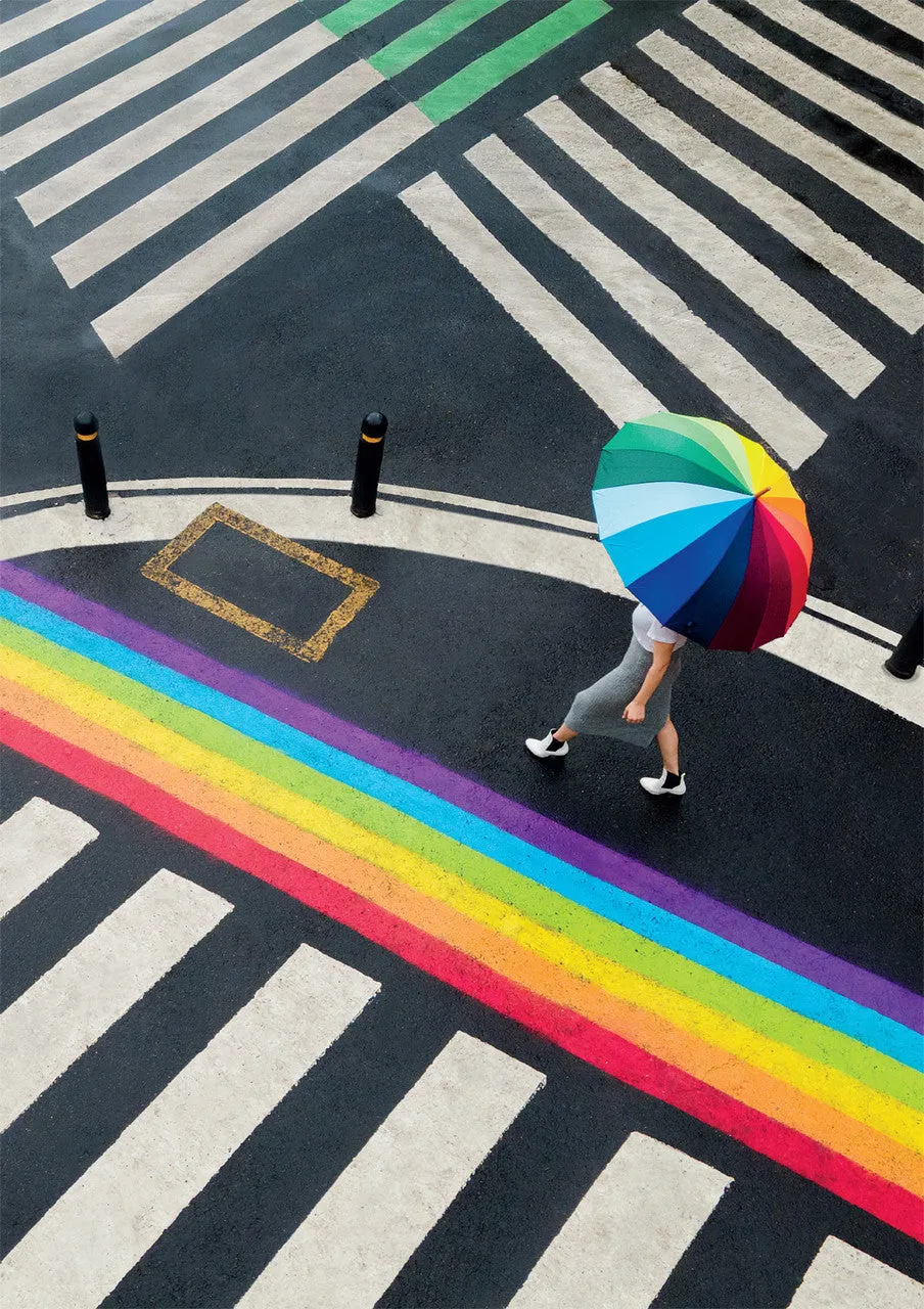 Rainbow Series Black White Rainbow puslespil 300 brikker
