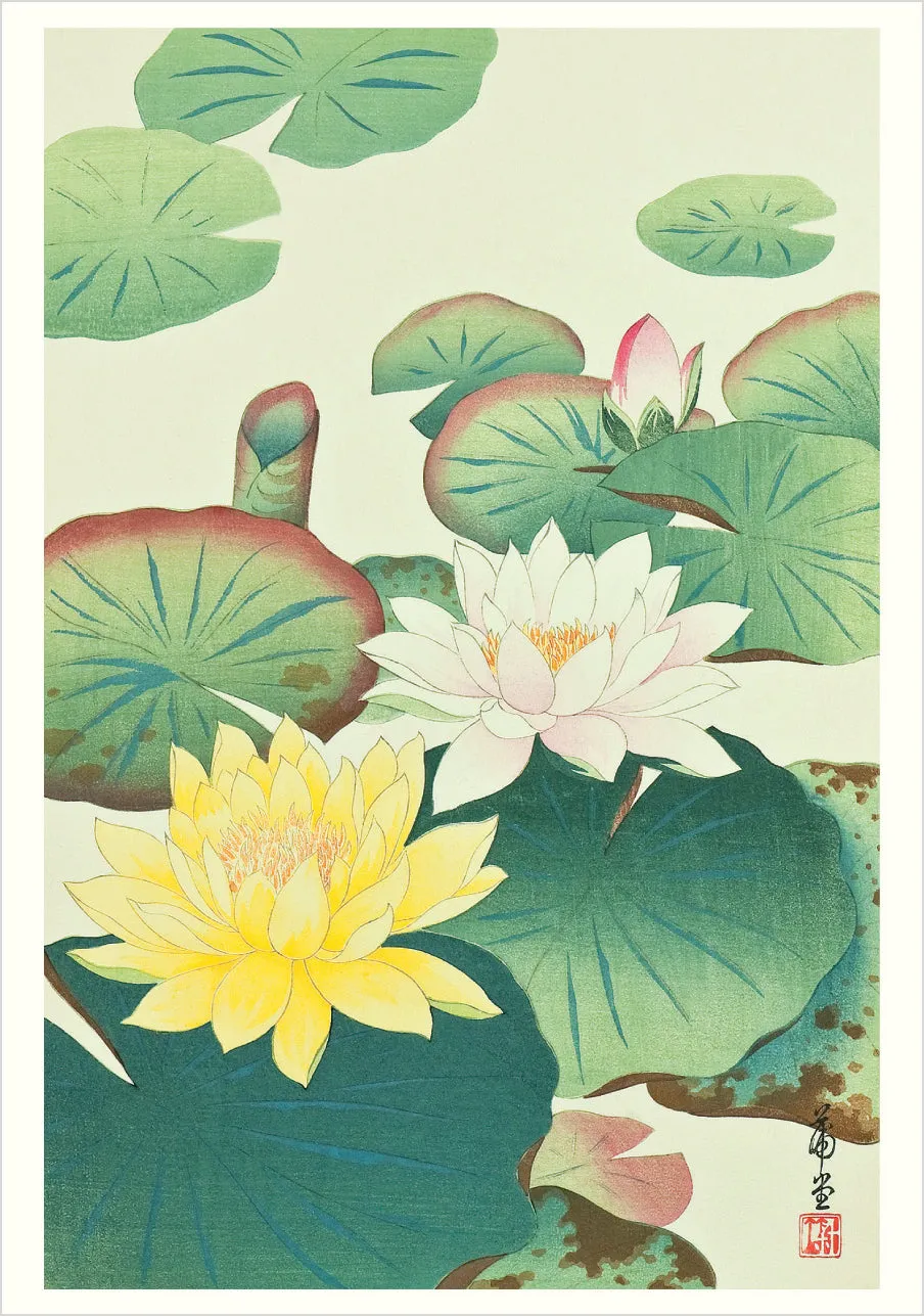 Haiku Japanese Art kortsæt 20 stk fugle landskaber