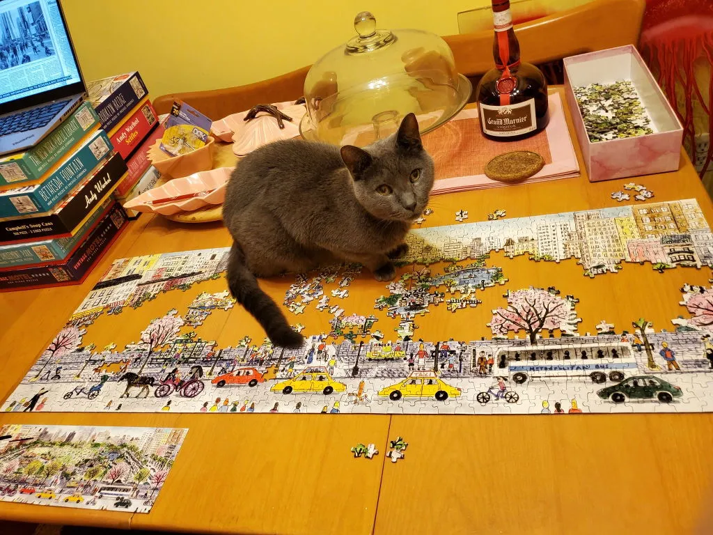 Galison Michael Storrings Cityscape panoramapuslespil 1000 brikker