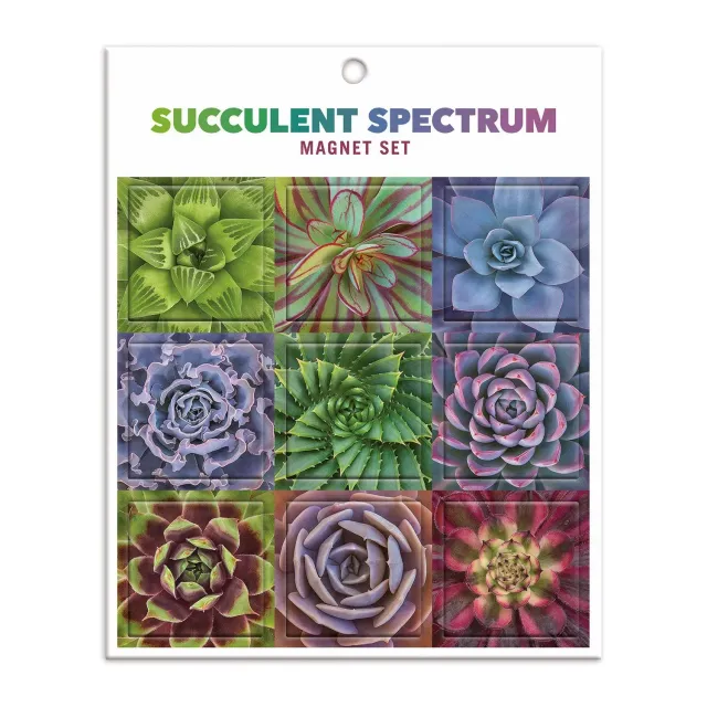 Galison Succulent Spectrum magneter 9 stk sukkulenter
