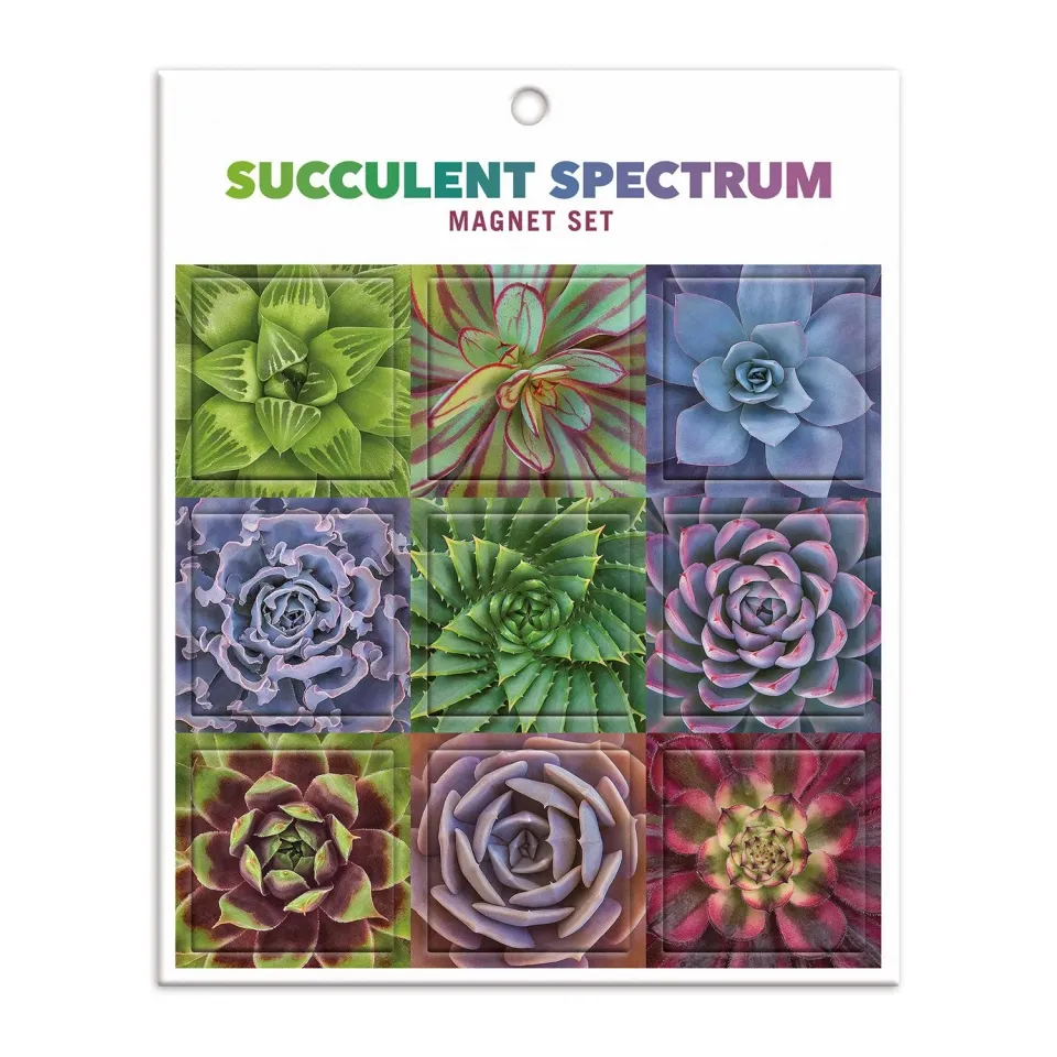 Galison Succulent Spectrum magneter 9 stk sukkulenter
