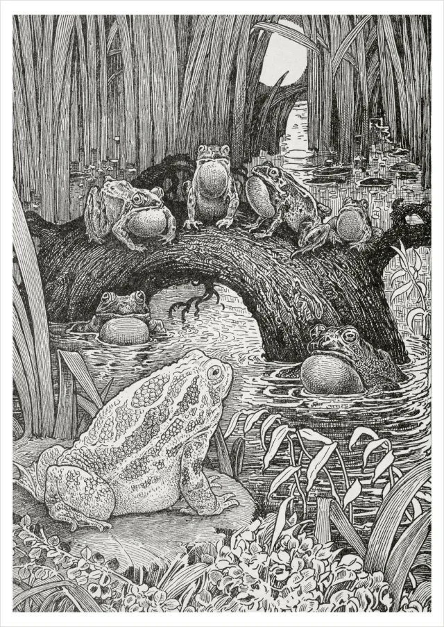 Pomegranate Louis Rhead Invited to a Family Concert postkort dyr