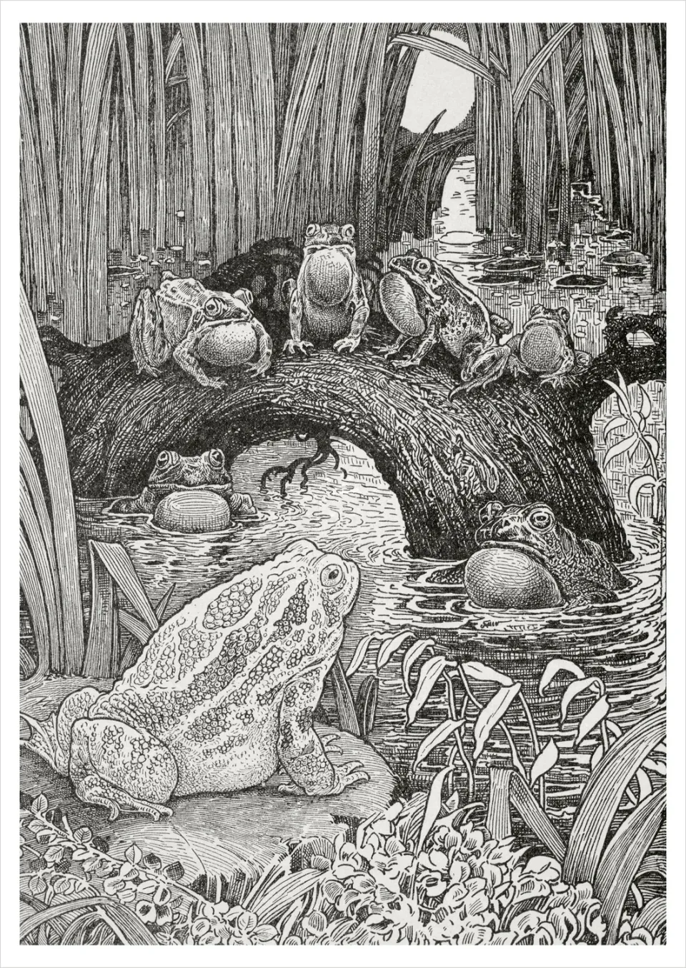Pomegranate Louis Rhead Invited to a Family Concert postkort dyr