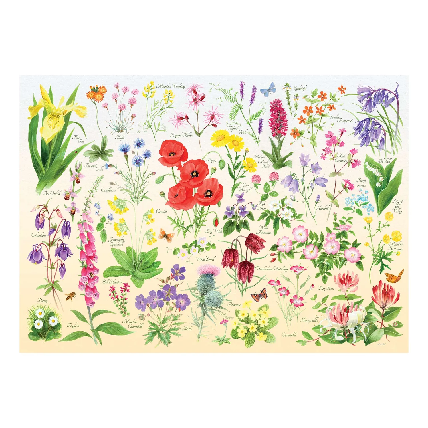 House of Puzzles Wildflowers puslespil tube 150