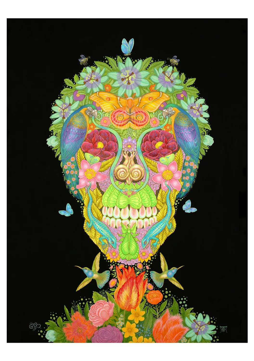Pomegranate Day of the Dead Tino Rodriguez brevkort 4 motiver