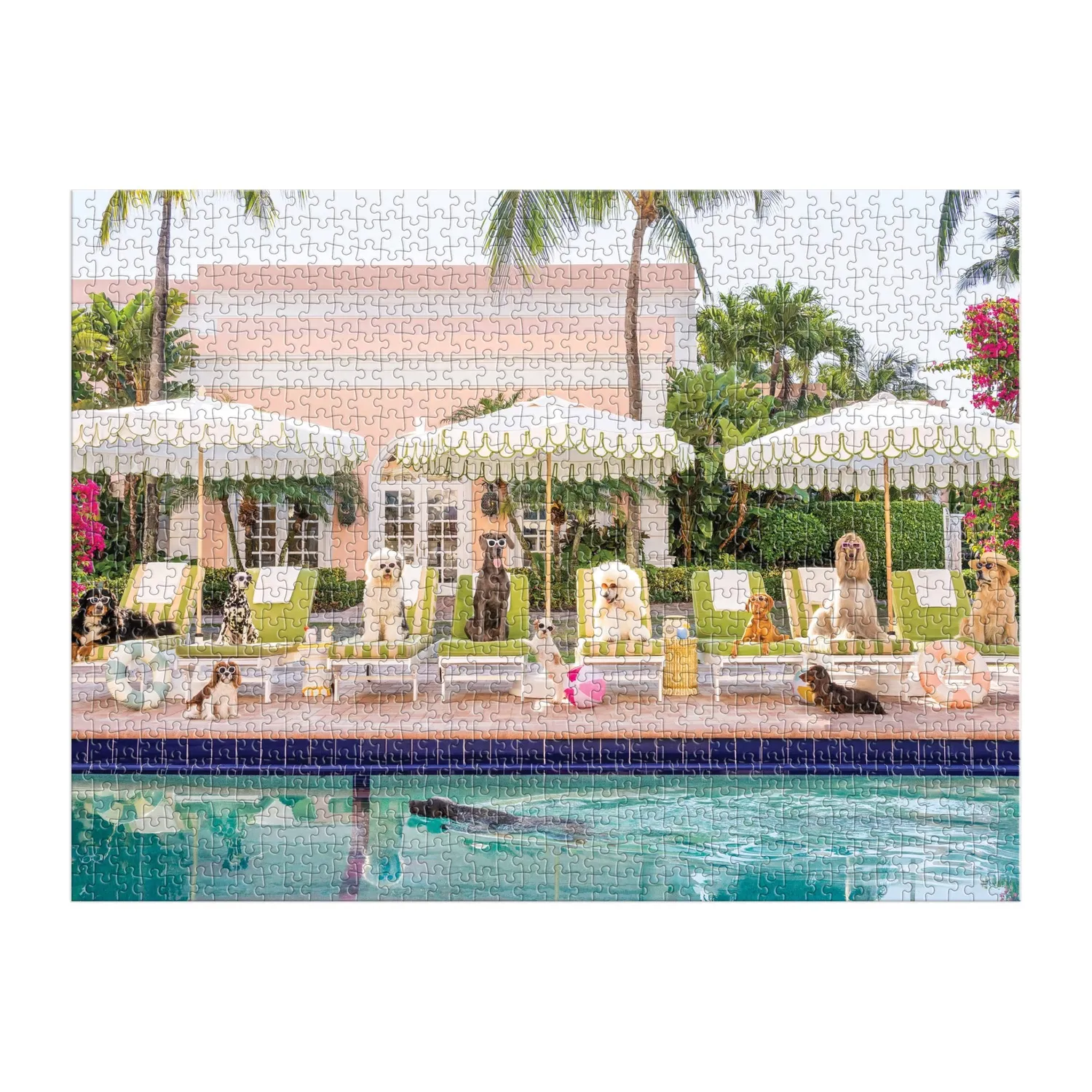 Gray Malin Pool Day Palm Beach puslespil 1000 brikker hunde
