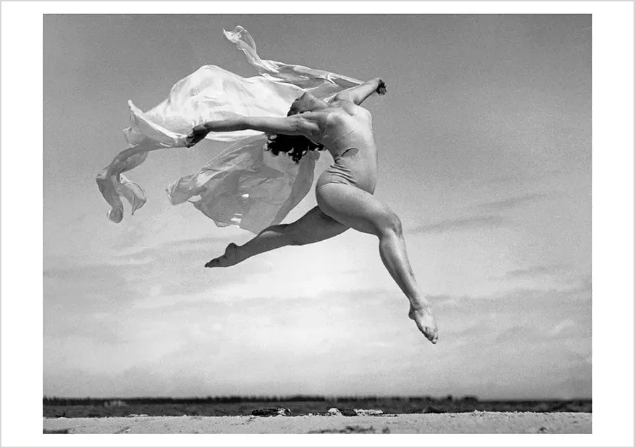 Pomegranate Dance of the Clean Laundry postkort humor