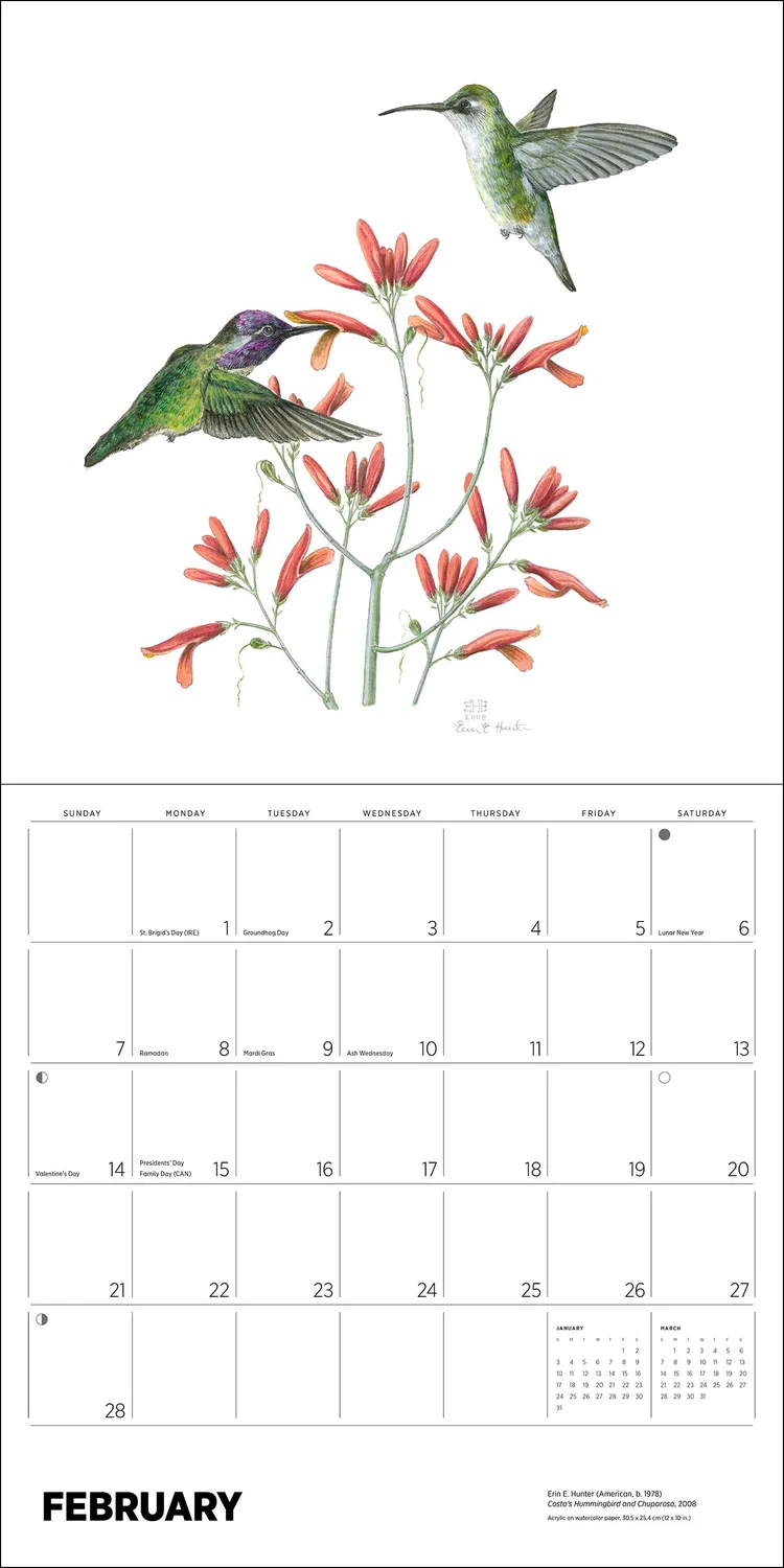 Erin E Hunter Pollinators vægkalender 2027 insekter