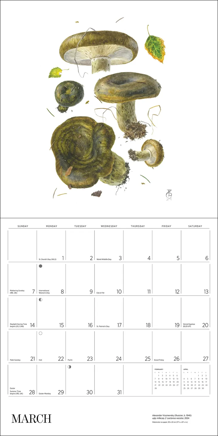 Pomegranate Mushrooms Alexander Viazmensky 2027 vægkalender svampe