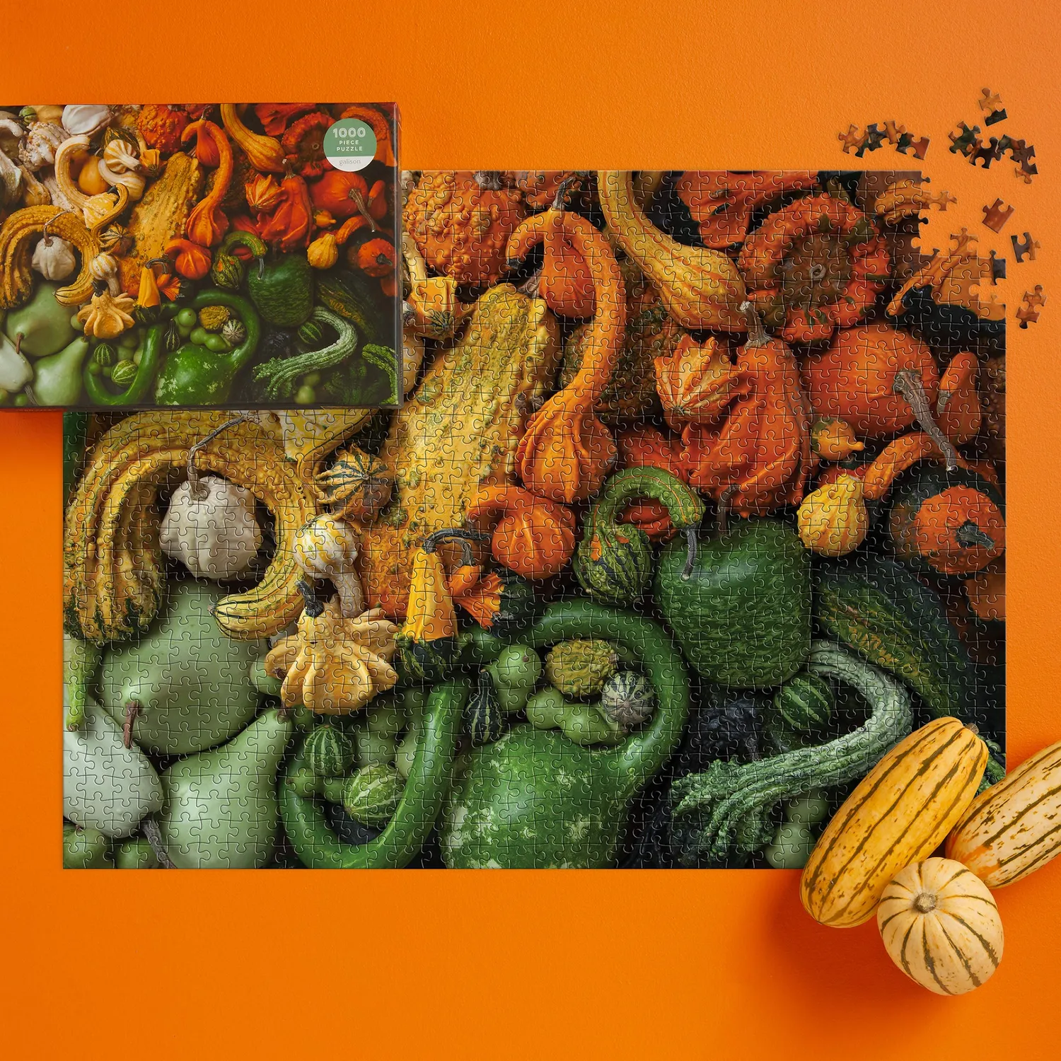 Galison Gourds puslespil 1000 brikker græskar efterår