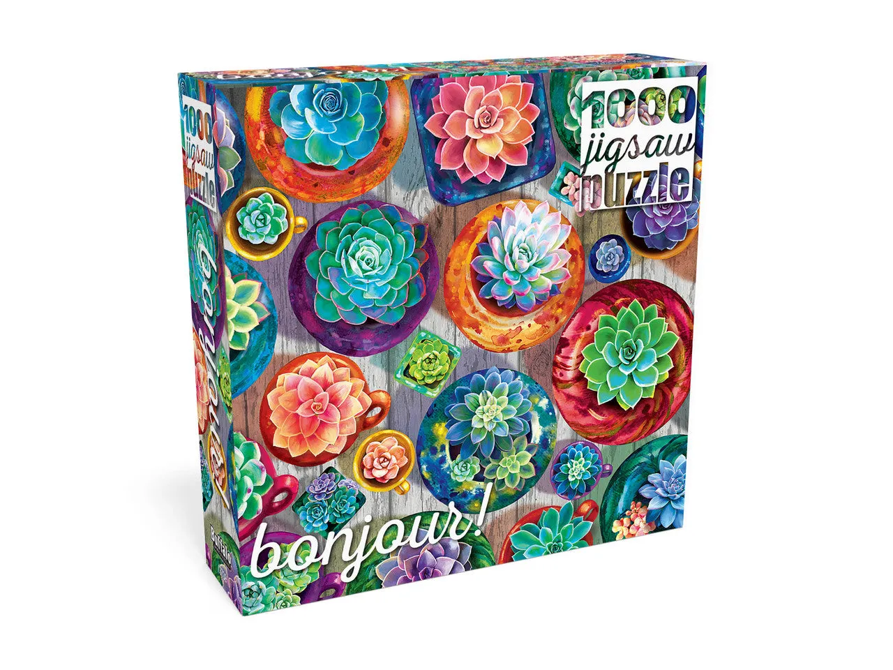Buffalo Games Bonjour Succulent Selection puslespil 1000 planter