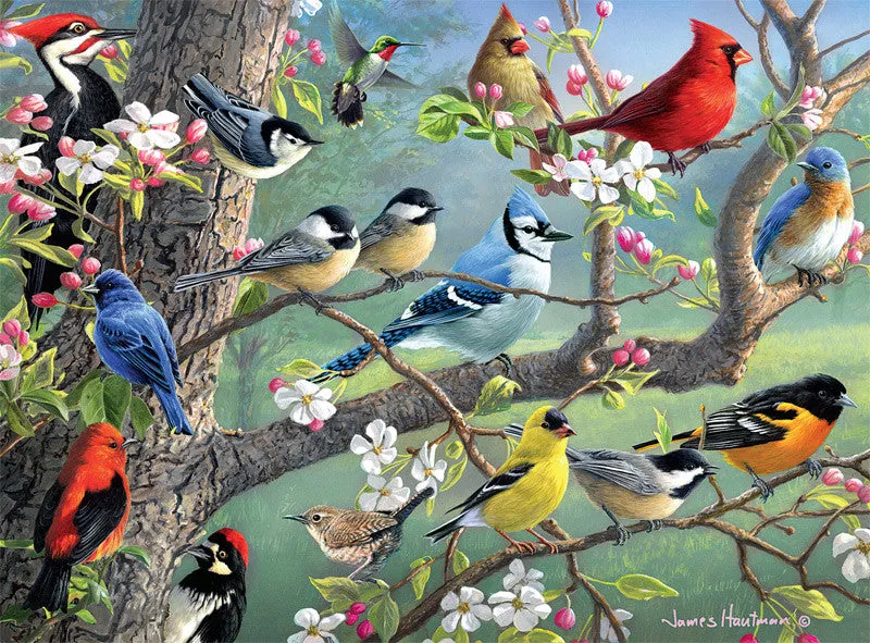 Buffalo Games Hautman Birds in an Orchard puslespil 1000 fugle