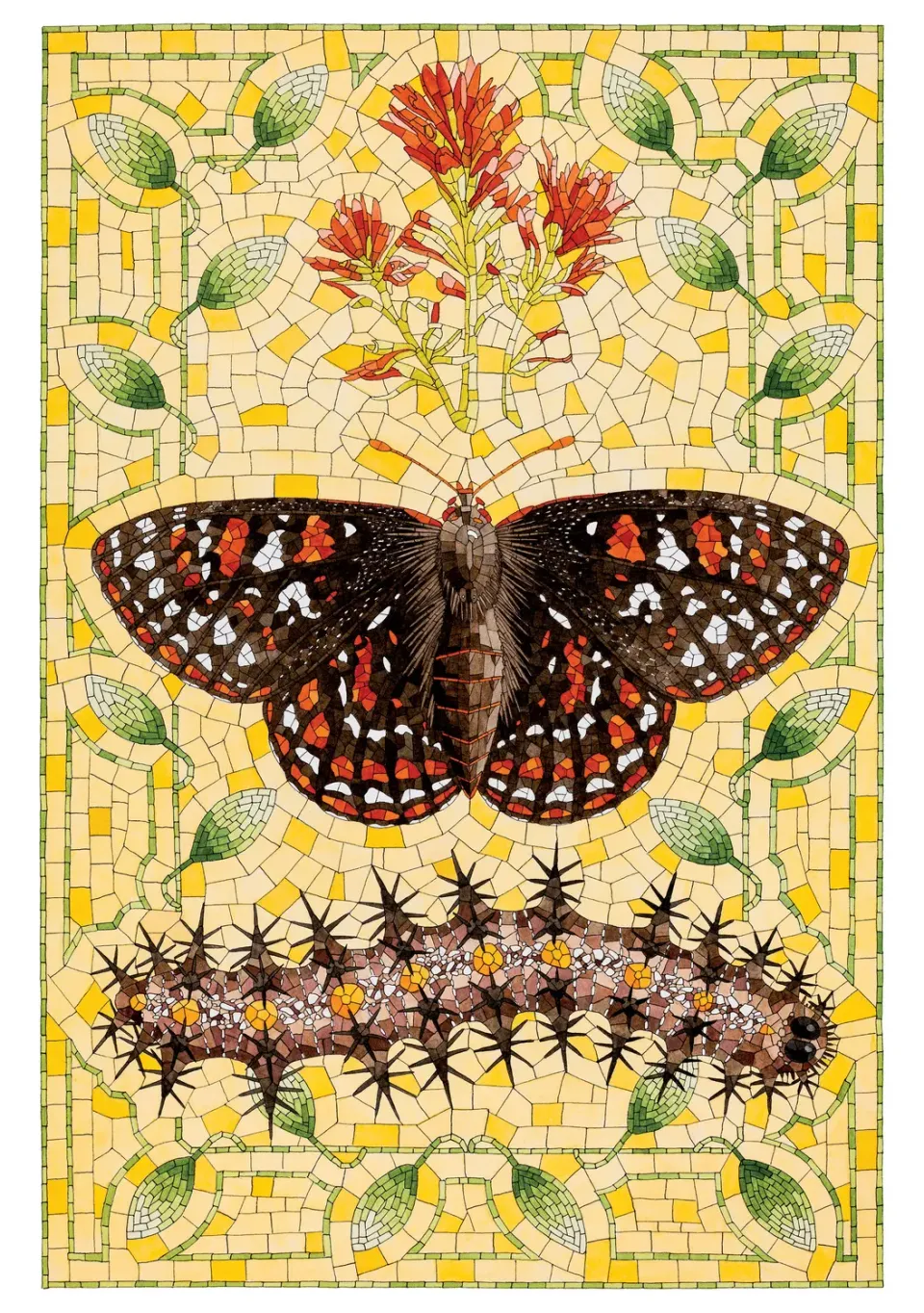Pomegranate David Cohen Taylors Checkerspot fødselsdagskort