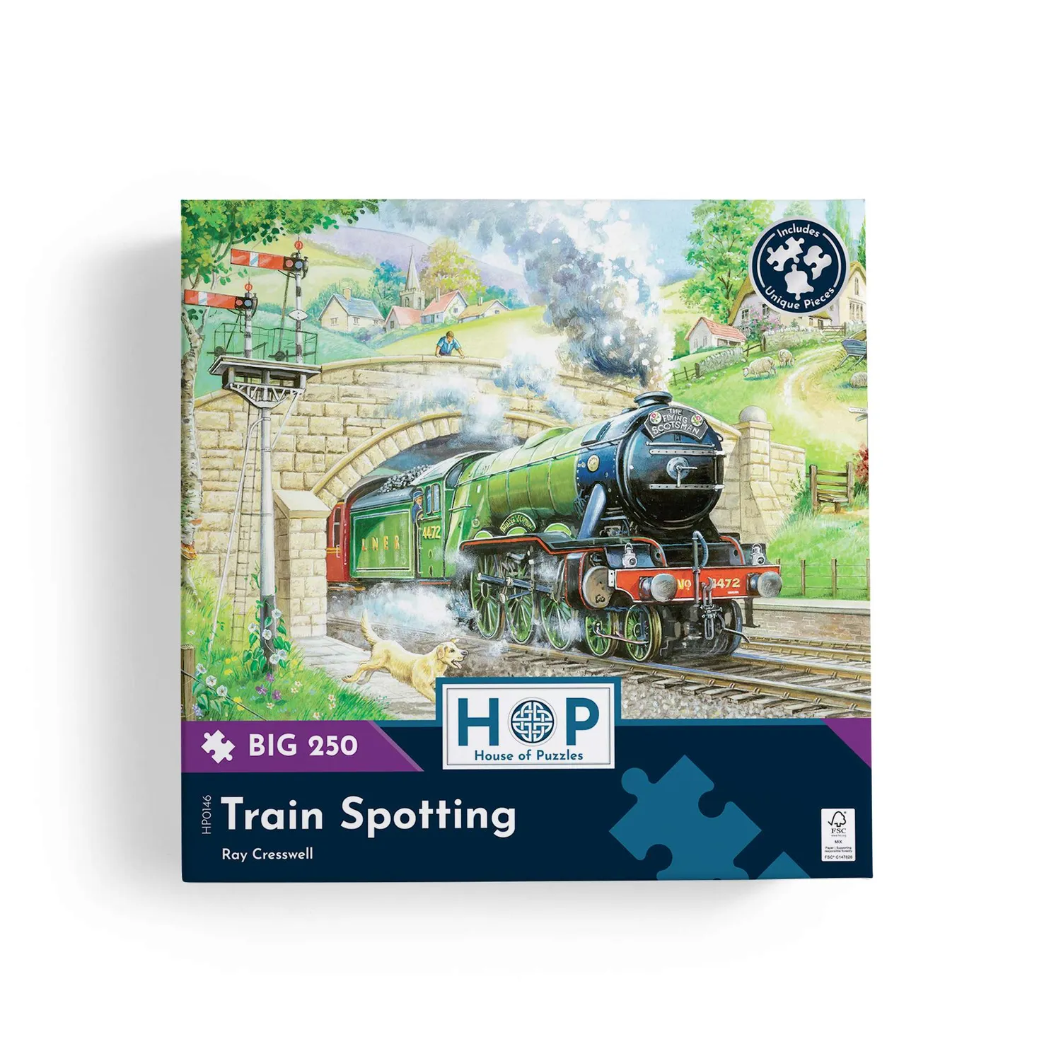 House of Puzzles Train Spotting BIG puslespil 250 store brikker