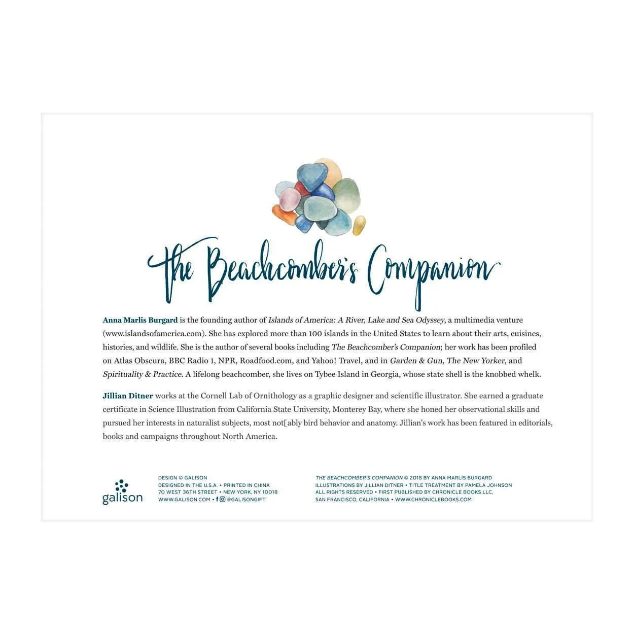 Galison Beachcombers Companion puslespil 1000 brikker muslinger