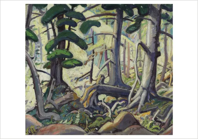 Pomegranate Arthur Lismer Sunlight in a Wood fødselsdagskort
