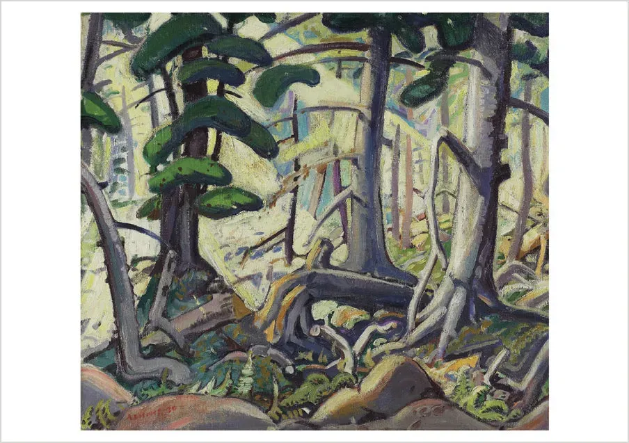 Pomegranate Arthur Lismer Sunlight in a Wood fødselsdagskort