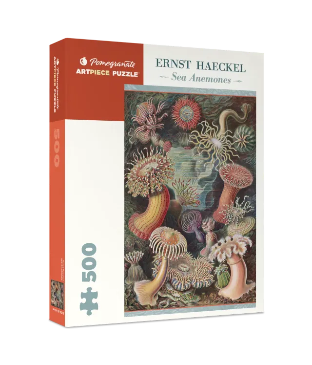 Pomegranate Ernst Haeckel Sea Anemones puslespil 500 brikker hav