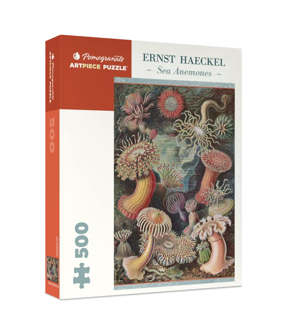 Pomegranate Ernst Haeckel Sea Anemones puslespil 500 brikker hav
