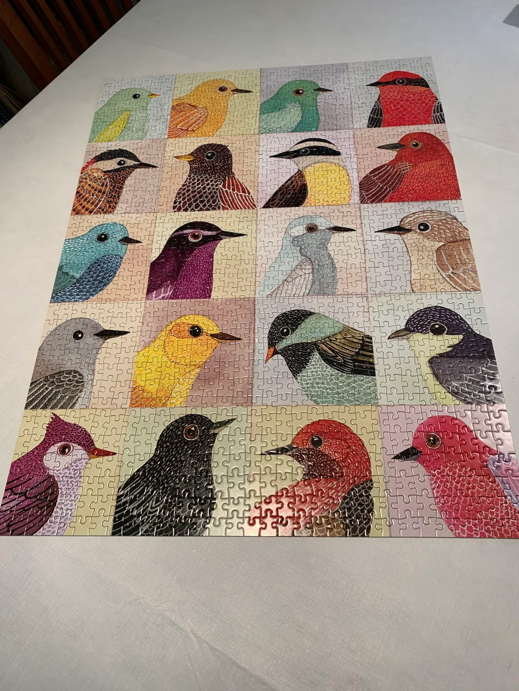 Galison Zlatkis Avian Friends puslespil 1000 brikker fugle