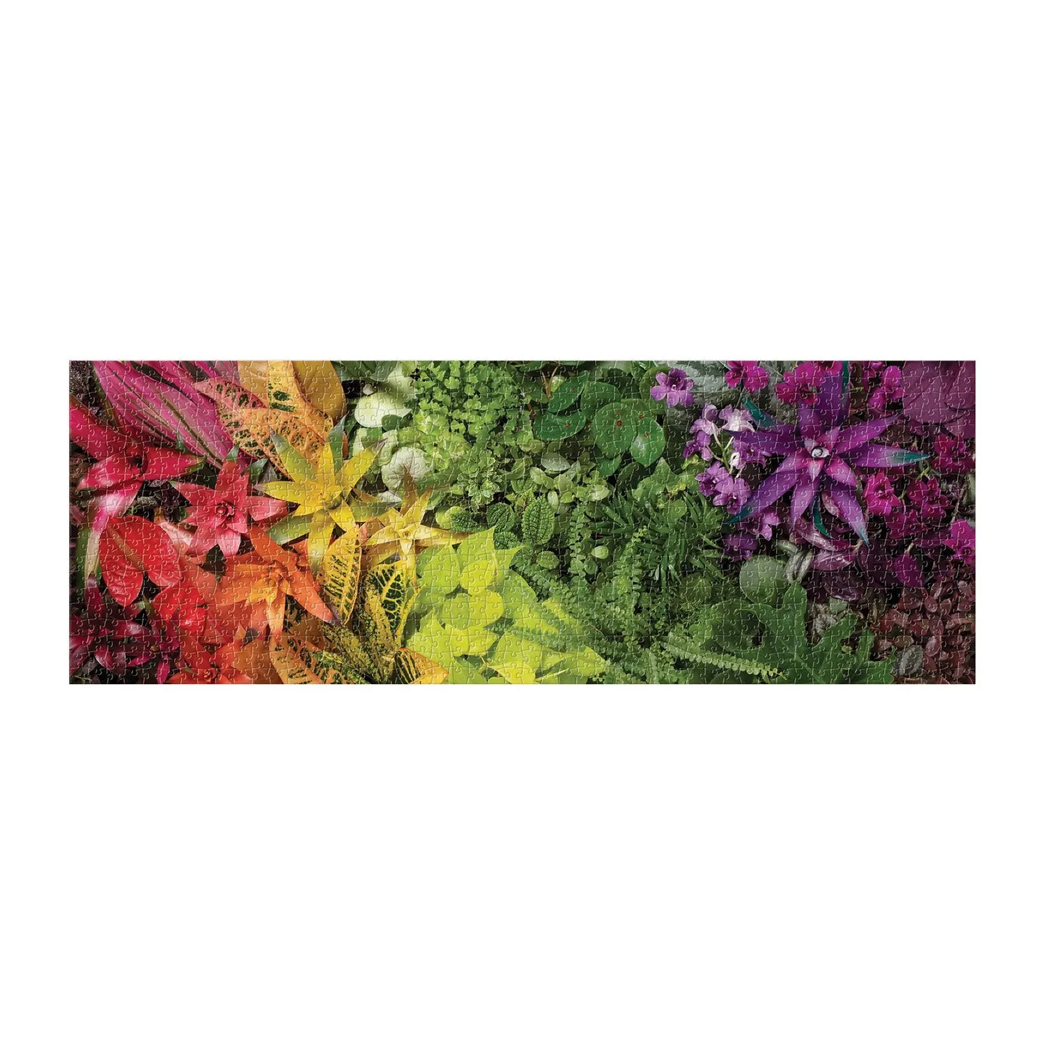Galison Plant Life panoramapuslespil 1000 brikker planter