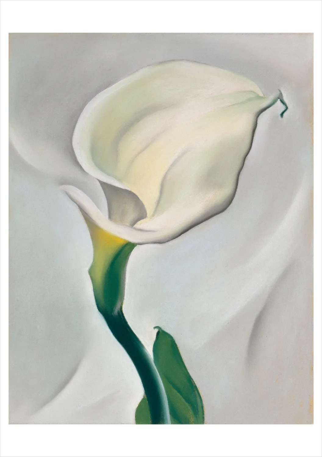 Pomegranate Georgia O’Keeffe Paintings kortsæt 20 stk blomst