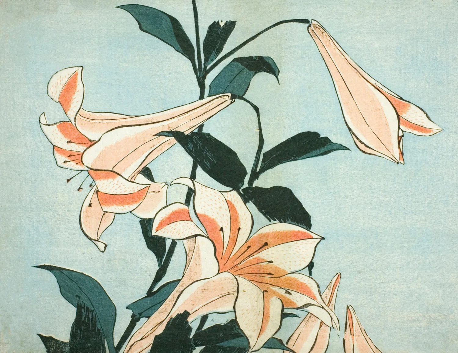 Pomegranate Hokusai Keepsake kortæske 20 kort Den Store Bølge