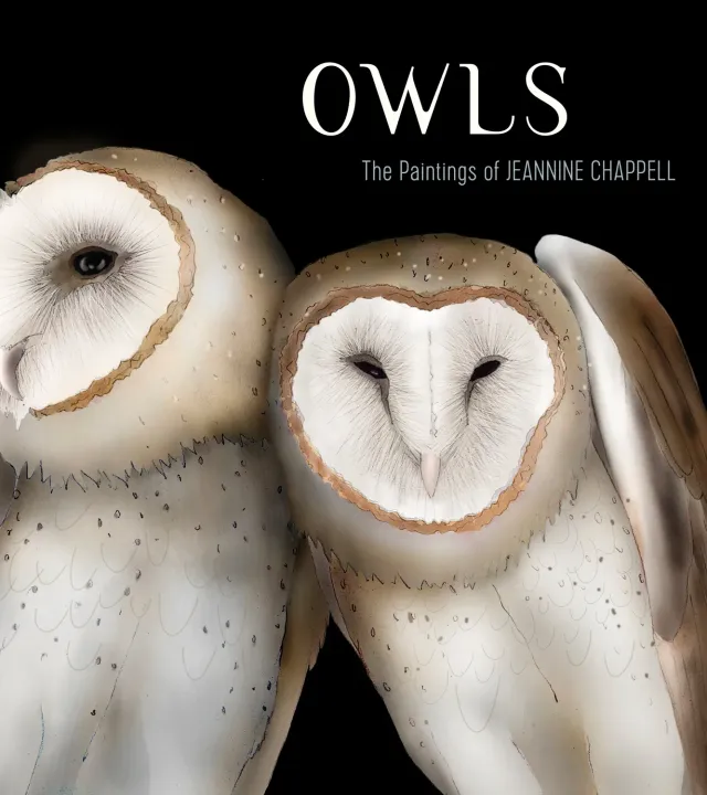 Pomegranate Owls Jeannine Chappell bog uglemaleri
