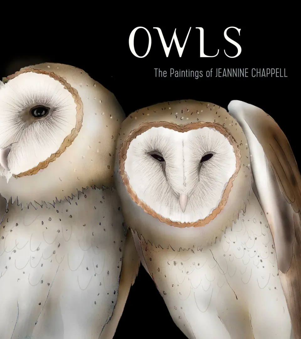Pomegranate Owls Jeannine Chappell bog uglemaleri