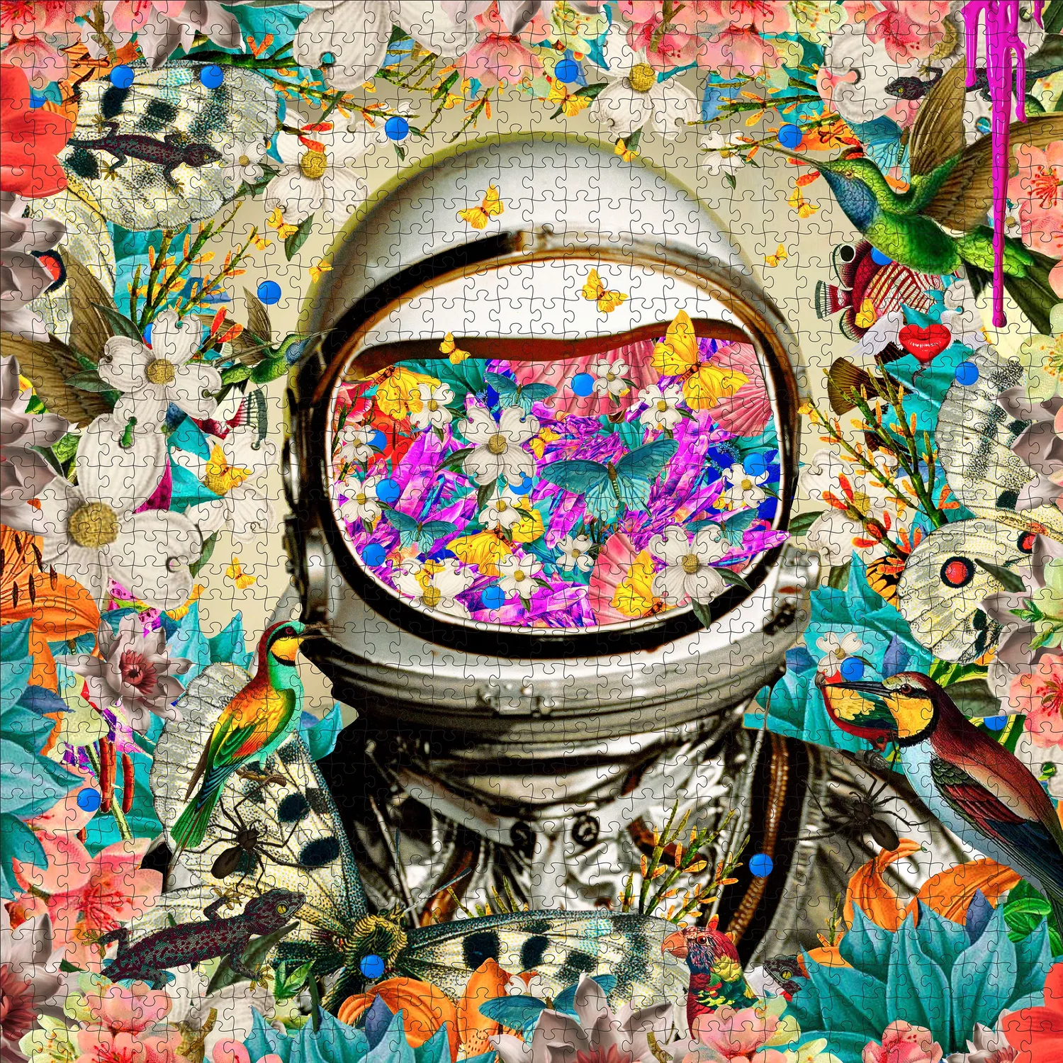 Pomegranate David Krovblit Astronaut puslespil 1000 brikker