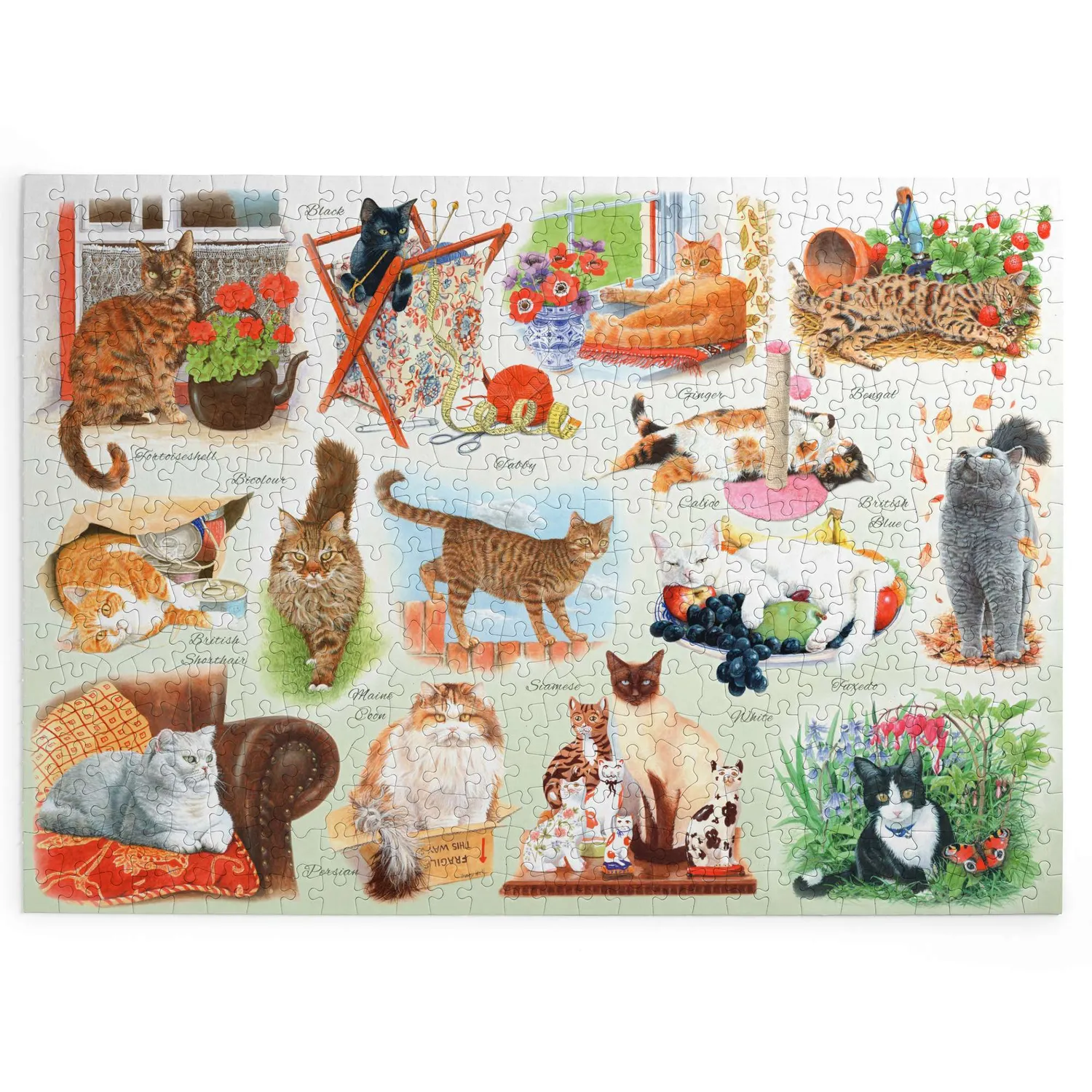 House of Puzzle BIG A Clowder of Cats puslespil 500 katte