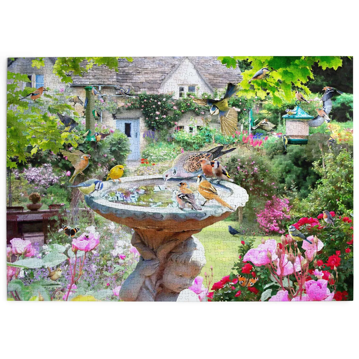 House of Puzzle Summer Birds 1000 puslespil fuglemotiv