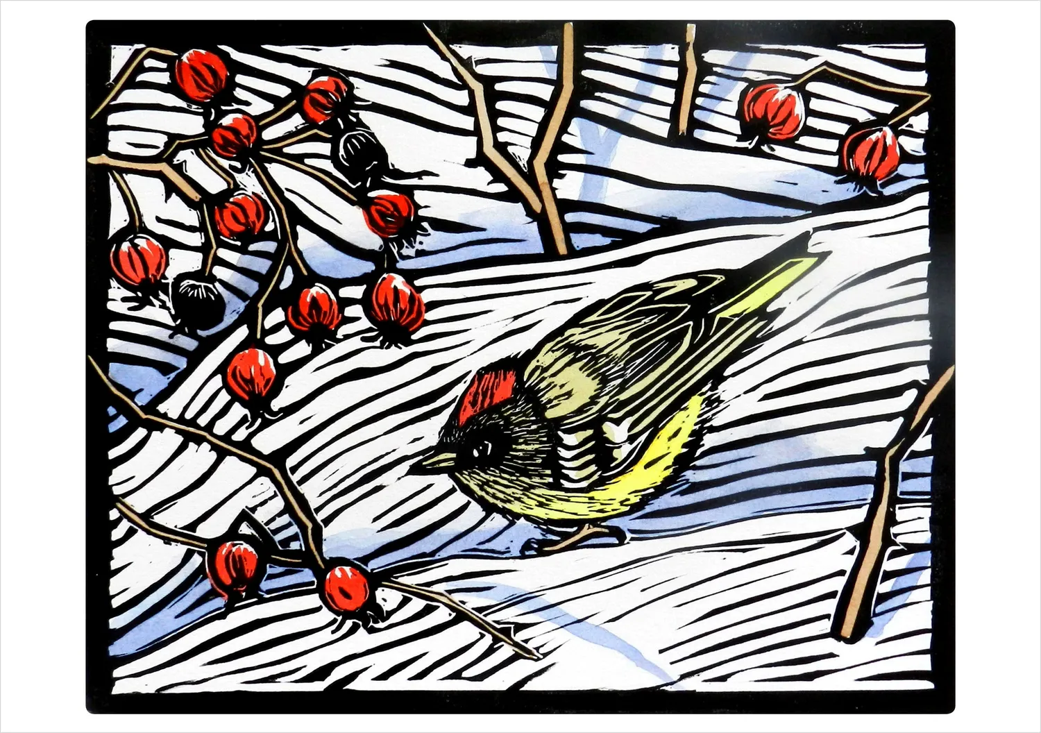 Pomegranate Molly Hashimoto Winter Birds julekort 20 stk fugle