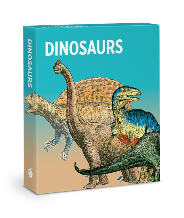 Pomegranate Dinosaurs Knowledge Cards lærekort 48 stk
