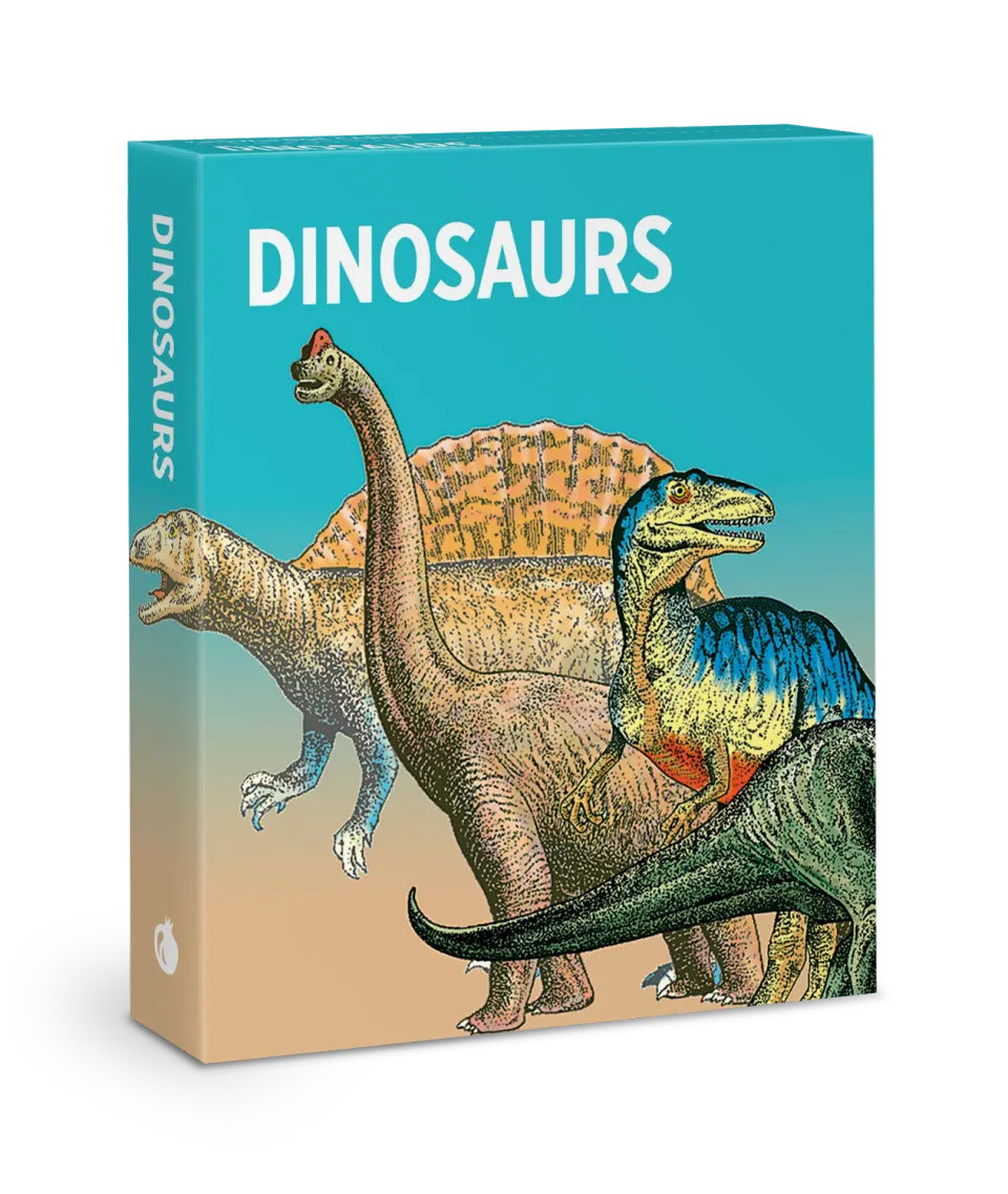 Pomegranate Dinosaurs Knowledge Cards lærekort 48 stk