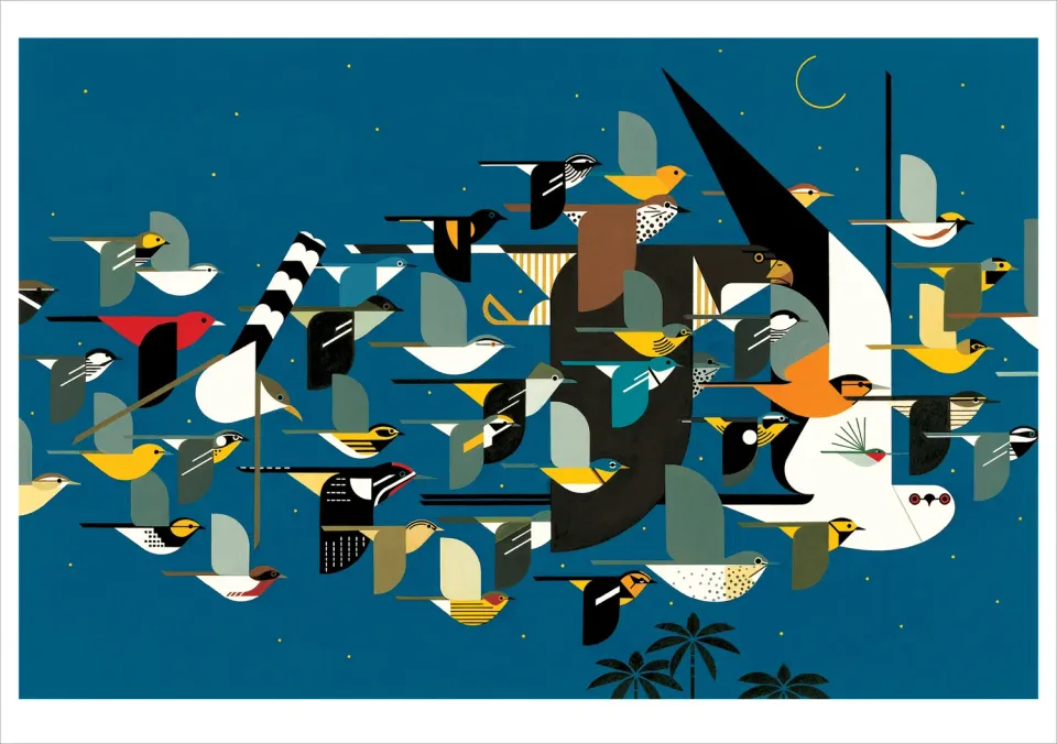 Pomegranate Charley Harper Mystery of the Missing Migrants fuglekort enkelt