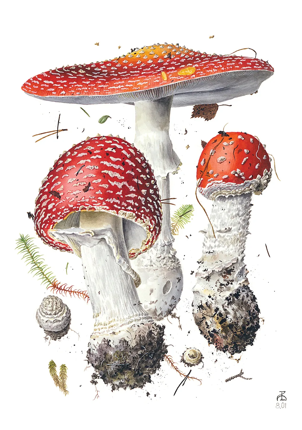 Pomegranate Mushrooms Viazmensky kort sæt 20 stk svampe